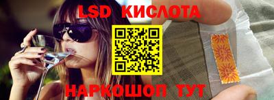 прущие грибы Гатчина