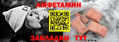 прущие грибы Гатчина